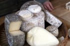 Lithuania - Dargužiai vlg., Valkininkai - The Cheese-Makers Home 