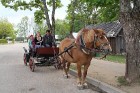Lithuania - Anykščiai dstr. - Niūronys vlg. - Horse museum 