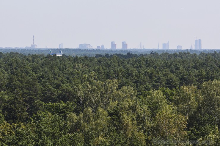 The Forest Park and Panorama Tower in Jūrmala is favoured by locals and visitors
