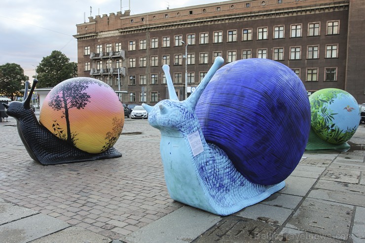 The Snails can be found in the Children’s  Hospital, Rothko centre in Daugavpils city, some – in kindergartens and schools, and even an old manor’s garden. 
