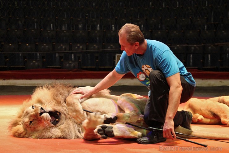 Lion tamers and monarchs of “The Lion Empire” Veronika and Oleksii Pinko – representing Ukraine’s National Circus. 