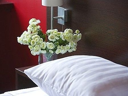Dodo Hotel