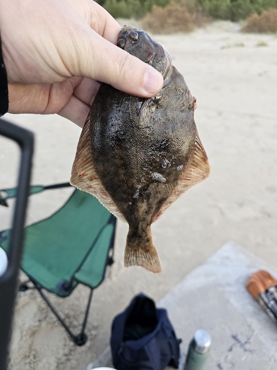 Talsu novadā izbaudām lībiešu māju «Stūrīši - Branki» viesmīlību Baltijas jūras krastā 379728