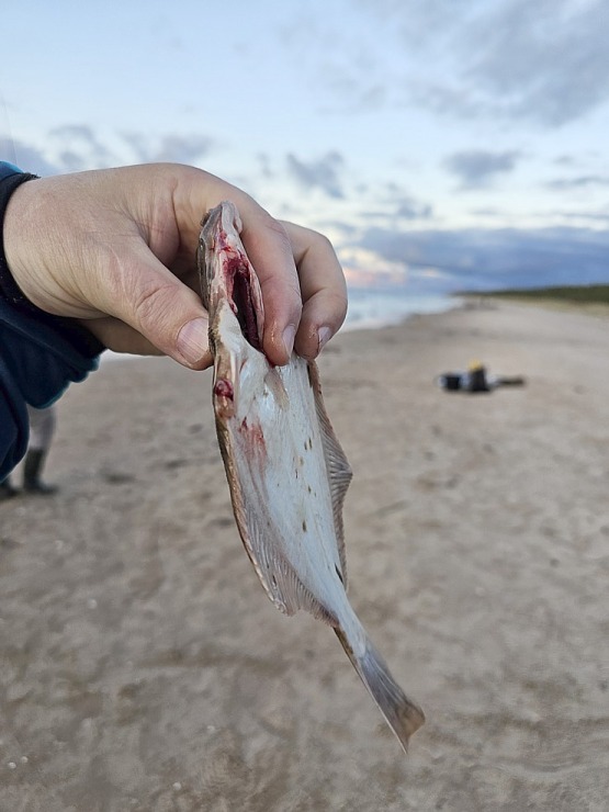 Talsu novadā izbaudām lībiešu māju «Stūrīši - Branki» viesmīlību Baltijas jūras krastā 379730