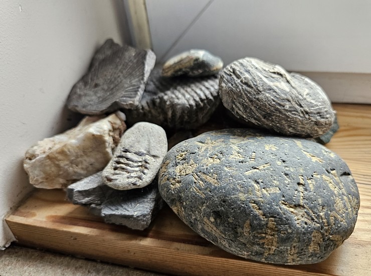 Apmeklējam tekstilmākslinieci Baibu Rīteri ļoti skaistā Saldus novada viensētā, kur tiek austi unikāli gobolēni 379774