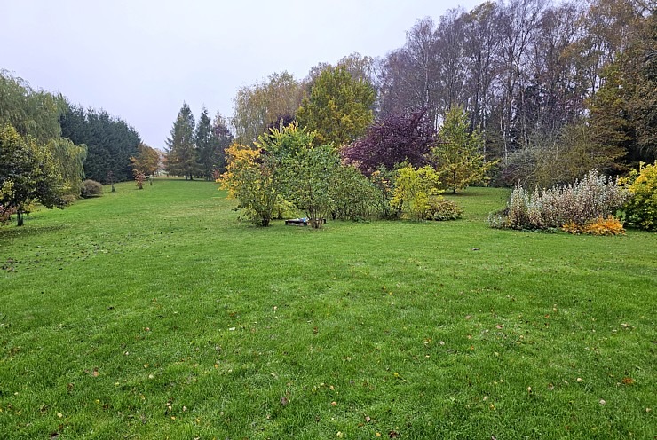 Apmeklējam tekstilmākslinieci Baibu Rīteri ļoti skaistā Saldus novada viensētā, kur tiek austi unikāli gobolēni 379758