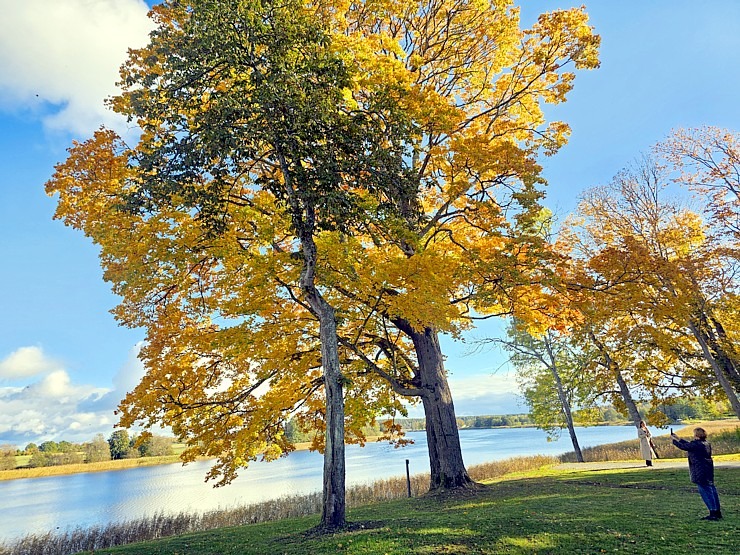 Apmeklējam Vārves muižas kompleksu Ventas krastā Ventspils novadā 380047