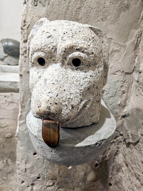 Iepazīstam Dundagas pili Talsu novadā, kas piedāvā naktsmītni, TIC, izstādes un konferenču telpas 380115