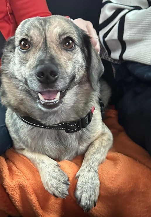 Rīgas Restorānu nedēļas akcijā piedalās arī Mārupes ģimenes restorāns «Hercogs» ar īpašu piedāvājumu 380760