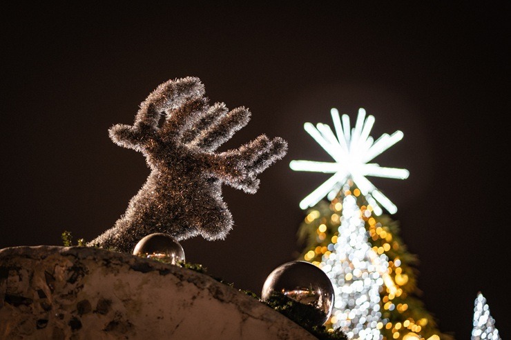 LIDO pārtop par ziemas pasaku karaļvalsti 381726