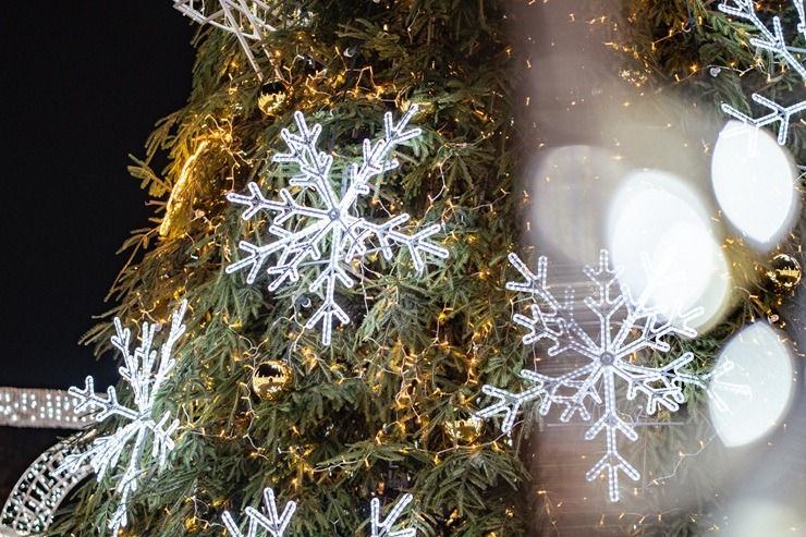 LIDO pārtop par ziemas pasaku karaļvalsti 381725