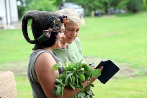 31