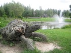 Laumu dabas parka apmeklētājus sagaida koka bruņurupucis 2