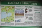 Matsalu nacionālais parks Igaunijā tika izveidots 1957.gadā ar mērķi aizsargāt ligzdojošos putnus un pārlidojošos putnus, kā arī apdraudētās sugas 1