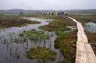 Estonia > Kotka Hiking Trail