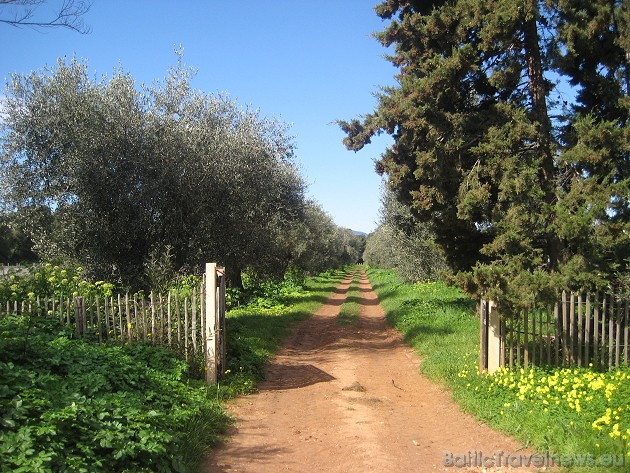 St. Honorat ir 1,5 km gara un 400 m plata 41958
