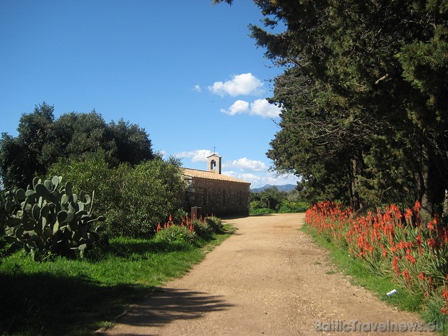Ļoti interesanta Saint-Honorat mājas lapa franču valodā www.tonnelle-abbayedelerins.com 41985