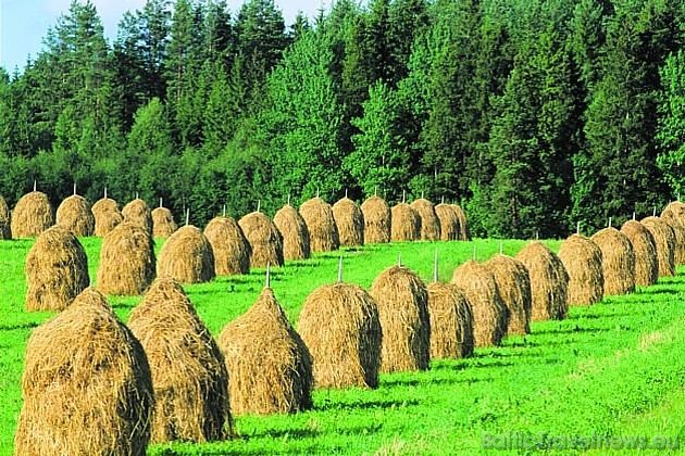 Ziemeļniecisku atvaļinājumu favorītvalsts Somija ir lieliska vieta, kur pavadīt arī vasaras atvaļinājumu 42253