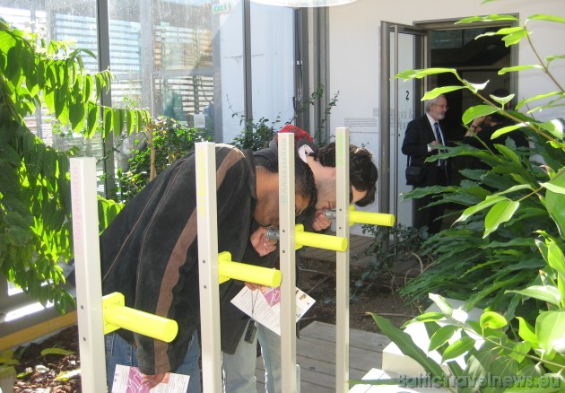 Šeit muzeja apmekletājiem stāsta, kas ir jāizdara ar katru augu, lai palīdzētu 