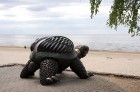 Jūrmalā var izstaigāt interesantus arhitektūras maršrutus vai arī atpūsties pludmalē, nobaudīt  Jūrmalas gardumus, paklausīties mūziku un pavērot pils 18