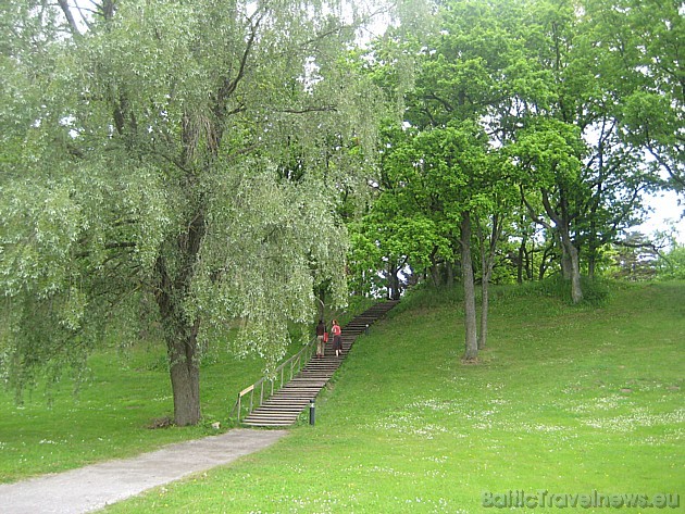 Botāniskā dārza teritorijā ir plaša zaļā zona, kā arī tuvumā atrodas Piritas Kuģniecības un atpūtas centrs, priežu mežs, Metsakalmistu kapsēta, Tallin 45676