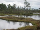 Tiem, kas meklē mieru un klusumu, Ingatsi taka piedāvā vairākas atpūtas vietas un soliņus, kur izstaipīt kājas un vērot purva dabu 12