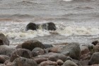 Vidzemes akmeņainā jūrmala ir vienīgā vieta Latvijā, kur jūras viļņu abrazīvās darbības iespaidā izveidojušies līdz dažus metrus augsti Devona perioda 24