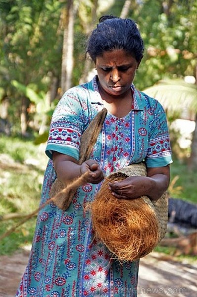 Kokosšķiedru virvju izgatavošana. Backwaters – lagūnezeru, upju, kanālu un mangrovju salu labirintos. Kerala
Foto: Guna Bērziņa 57101