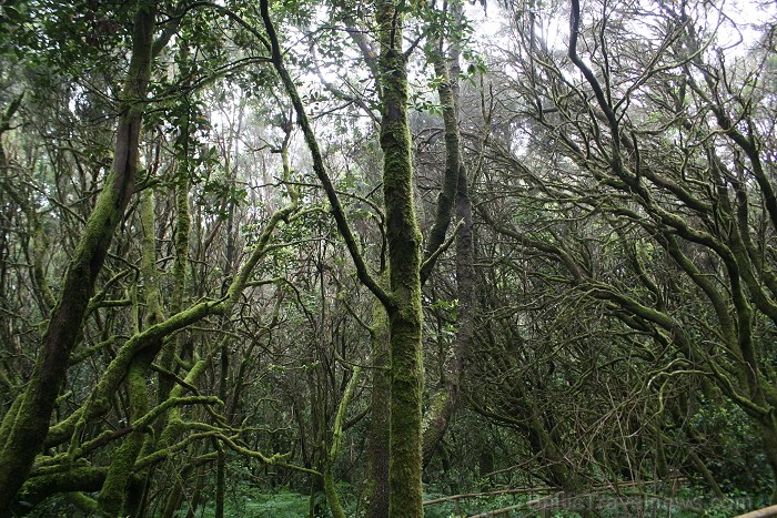 Ceļojums no Tenerifes salas uz Gomeras salu (La Gomera) ar prāmi sadarbībā ar tūroperatoru Tez Tour (www.teztour.lv) 64023