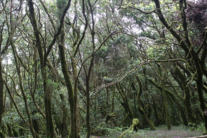 Ceļojums no Tenerifes salas uz Gomeras salu (La Gomera) ar prāmi sadarbībā ar tūroperatoru Tez Tour (www.teztour.lv) 64034
