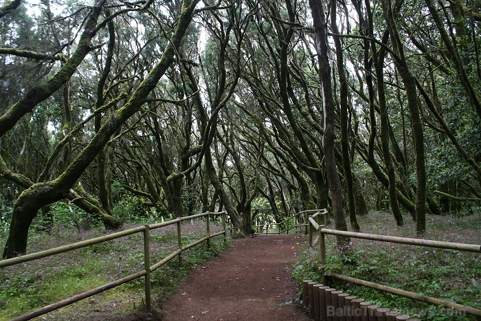 Ceļojums no Tenerifes salas uz Gomeras salu (La Gomera) ar prāmi sadarbībā ar tūroperatoru Tez Tour (www.teztour.lv) 64036