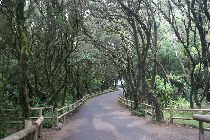 Ceļojums no Tenerifes salas uz Gomeras salu (La Gomera) ar prāmi sadarbībā ar tūroperatoru Tez Tour (www.teztour.lv) 64048