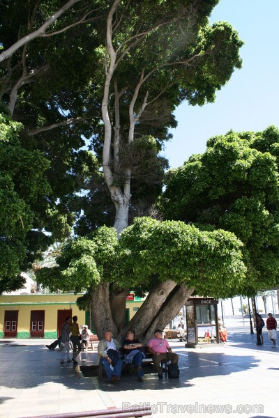 Ceļojums no Tenerifes salas uz Gomeras salu (La Gomera) ar prāmi sadarbībā ar tūroperatoru Tez Tour (www.teztour.lv) 64099