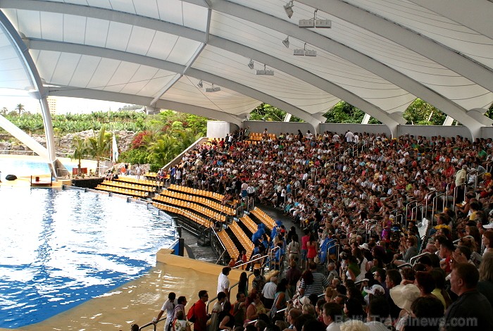 Travelnews.lv ceļojuma stāsts par Loro parku (Loro parque) - Loro parka unikalitāte piesaista tūristus no visas pasaules 64524
