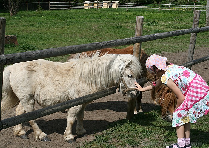 Bērniem liels prieks par to, ka viņi var arī apmīļot dzīvniekus 65499