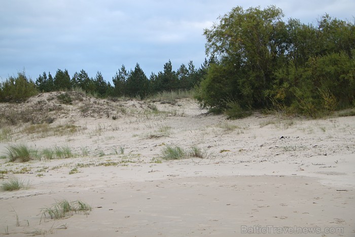 Piejūras dabas parks - Rīgas jūrmalas pludmale 67577