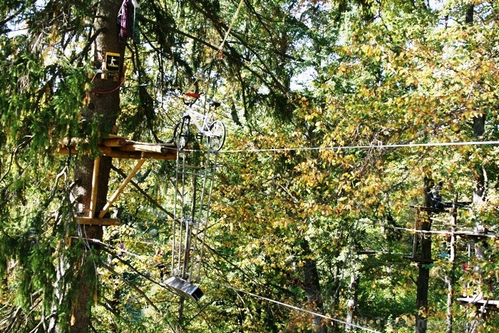 Kad Siguldā nokrāsojas pirmās koku lapas, gan vietējie, gan ārzemju ceļotāji trauc apbrīnot Zelta Rudeni. www.sigulda.lv 67603