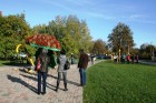 Kad Siguldā nokrāsojas pirmās koku lapas, gan vietējie, gan ārzemju ceļotāji trauc apbrīnot Zelta Rudeni. www.sigulda.lv 19