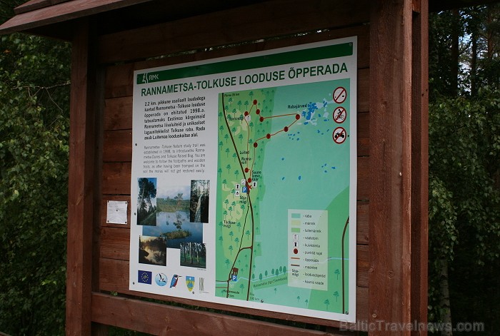 Iepazīsti dabas skaistumu Igaunijas dabas izpētes takā - Rannametsa-Tolkuse. Vairāk www.visitestonia.com 80434