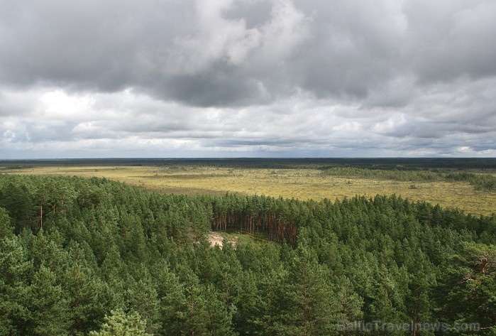 Iepazīsti dabas skaistumu Igaunijas dabas izpētes takā - Rannametsa-Tolkuse. Vairāk www.visitestonia.com 80440
