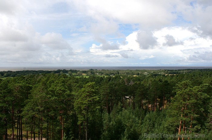 Iepazīsti dabas skaistumu Igaunijas dabas izpētes takā - Rannametsa-Tolkuse. Vairāk www.visitestonia.com 80441