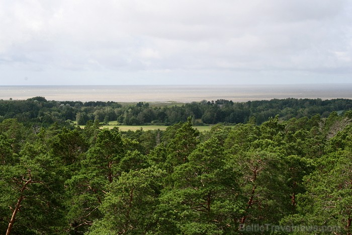 Iepazīsti dabas skaistumu Igaunijas dabas izpētes takā - Rannametsa-Tolkuse. Vairāk www.visitestonia.com 80442