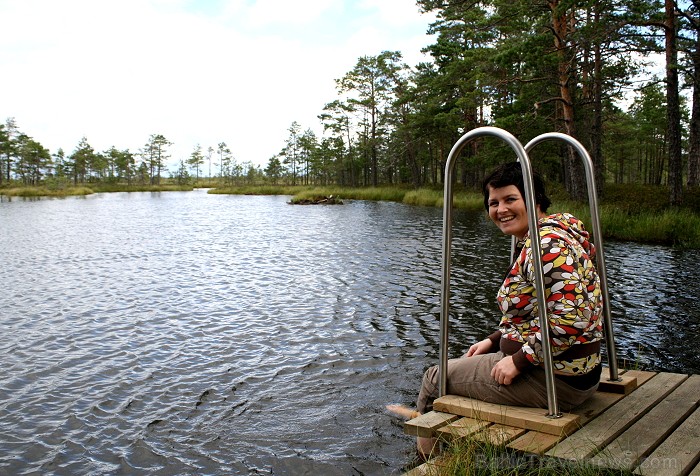 Iepazīsti dabas skaistumu Igaunijas dabas izpētes takā - Rannametsa-Tolkuse. Vairāk www.visitestonia.com 80458