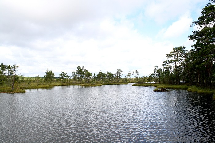 Iepazīsti dabas skaistumu Igaunijas dabas izpētes takā - Rannametsa-Tolkuse. Vairāk www.visitestonia.com 80459