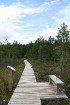 Iepazīsti dabas skaistumu Igaunijas dabas izpētes takā - Rannametsa-Tolkuse. Vairāk www.visitestonia.com 17