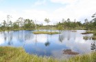 Iepazīsti dabas skaistumu Igaunijas dabas izpētes takā - Rannametsa-Tolkuse. Vairāk www.visitestonia.com 21