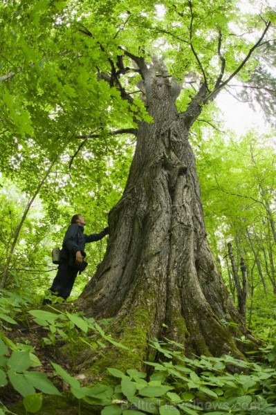 Dodies uzlabot veselību uz kaimiņzemi Igauniju. Foto: www.visitestonia.com 81564