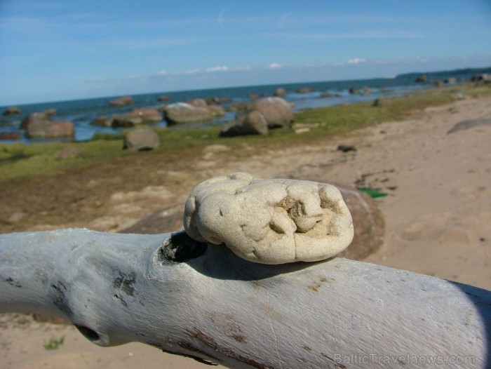 Dodies uzlabot veselību uz kaimiņzemi Igauniju. Foto: www.visitestonia.com 81577