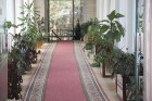 Sanatorija «Jantarnij bereg» var lepoties ar lielu pieredzi un tāpēc piedāvā plašu medicīnisko pakalpojumu spektru veselības uzlabošanai ar mūsdienīgu 4