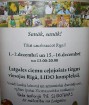 Lido Atpūtas centrs Krasta ielā 76 ir saposies Adventes un Ziemassvētku laikam - www.lidot.lv 16